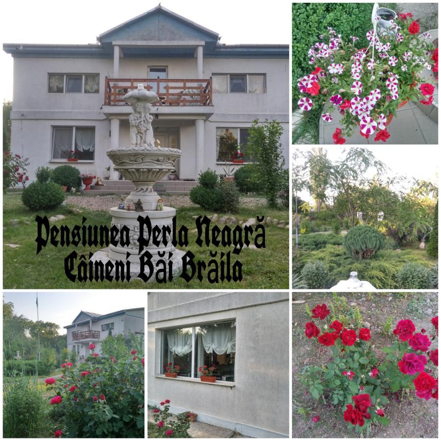 Perla Neagra Lotus Spa Caineni-Bai Exterior photo